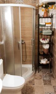 ein Badezimmer mit Dusche und Toilette in der Unterkunft CORALLI in Spetses + 33 Fotos