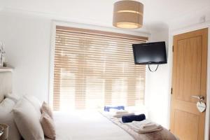 Schlafzimmer mit einem Bett, einem TV und einem Fenster in der Unterkunft Goodrington Lodge Holiday Apartments in Paignton