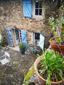 a stone house with blue doors and potted plants at La bergerie in La Garde-Freinet