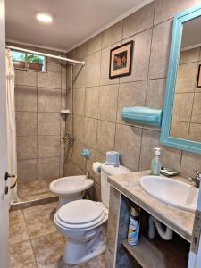 La salle de bains est pourvue de toilettes et d'un lavabo. dans l'établissement Cabaña Liebe Inge, à San Carlos de Bariloche