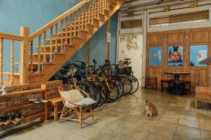 een groep fietsen geparkeerd in een kamer met een kat bij My Guesthouse 109 - SELF CHECK IN in George Town