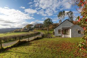 una casa blanca en un campo con un camino en Laghead Cottage, en Gatehouse of Fleet
