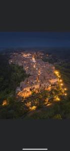 uma vista para uma cidade à noite com luzes em Al Vecchio Platano guest house em Pitigliano