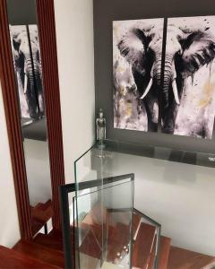 una estantería de cristal con una foto de un elefante en Apartasuite deluxe, en Popayán