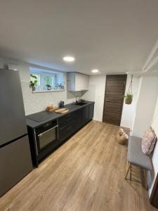 cocina con electrodomésticos negros y suelo de madera en Home-in apartma, en Liubliana