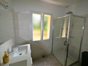 La salle de bains est pourvue d'une douche en verre et d'un lavabo. dans l'établissement L'Esquiròu du Sécadou, à Castels
