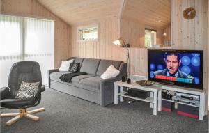 OksbølにあるCozy Home In Oksbl With Wifiのリビングルーム(ソファ、テレビ付)