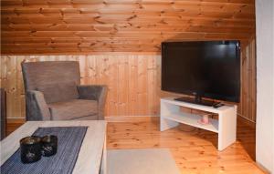 a living room with a flat screen tv and a chair at Stunning Home In Rjukan With House A Mountain View in Rjukan