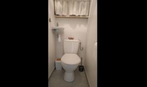 ein Bad mit einem weißen WC in einem Zimmer in der Unterkunft Entre terre mer et golf in Mandelieu-la-Napoule