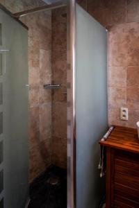 een douche met een glazen deur in de badkamer bij Villa spacieuse et accueillante in Bergen