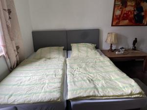 Postel nebo postele na pokoji v ubytování Gästehaus Linden