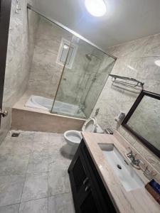 ein Bad mit einem Waschbecken, einer Dusche und einem WC in der Unterkunft Hotel Thanh Ngọc in Ho-Chi-Minh-Stadt
