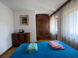 a bedroom with a blue bed and a wooden cabinet at Conveniente, tranquilla e accogliente con park in Belluno