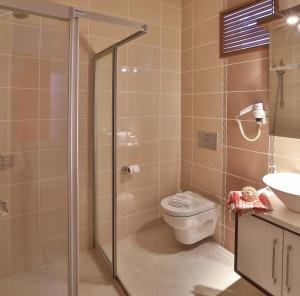 a bathroom with a shower and a toilet and a sink at Antiphellos Pension Küçükçakıl in Kaş