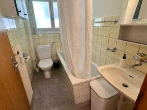 Koupelna v ubytování Alpina Appartment Kandersteg