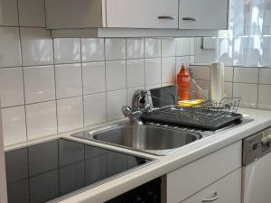 Kuchyň nebo kuchyňský kout v ubytování Alpina Appartment Kandersteg