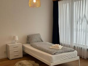 Postel nebo postele na pokoji v ubytování Alpina Appartment Kandersteg