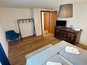 TV a/nebo společenská místnost v ubytování Alpina Appartment Kandersteg