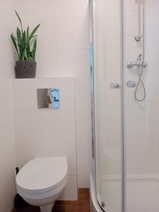a bathroom with a toilet and a shower at Mieszkanie na Wygodzie M2-parking free in Białystok