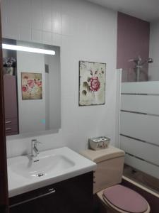 a bathroom with a sink and a toilet and a mirror at Full rental or by areas. Barbecue, Gardens, Large Terraces, Three rooms in Beniatjar