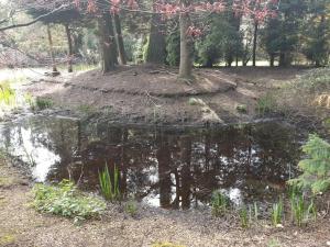 a body of water with trees in the background at Beautiful thatched cottages in Brentwood. in Kelvedon Hatch