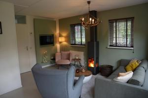 a living room with two couches and a fire place at De Brittenburg 4-persoons, finse sauna, hottub, sunshower, grote zonnige omheinde tuin, wifi en huisdier vriendelijk in Lievelde
