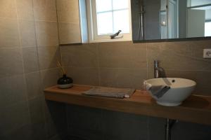 Ett badrum på De Brittenburg met privé hottub & sauna 4-persoons