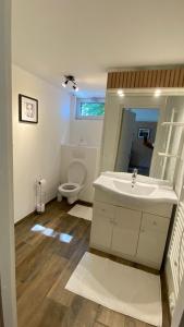łazienka z białą umywalką i toaletą w obiekcie TERRASSES DE MALMEDY- CHALET 108 Le Chalet du Cerf & TRIPLEX 223 Le Refuge du Cerf w mieście Malmedy