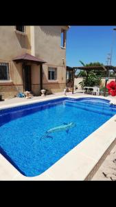 a swimming pool with two dolphins in the water at Spanish Villa in Torre del Rame