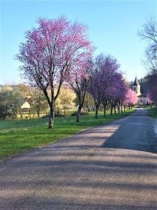 a group of trees with pink flowers on the side of a road at La MUSARDIERE Gîte paisible à la campagne in Goussaincourt