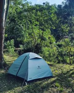 德爾芬莫雷拉的住宿－Hotel Fazenda Boa Esperança，蓝帐篷,坐在树旁的草上