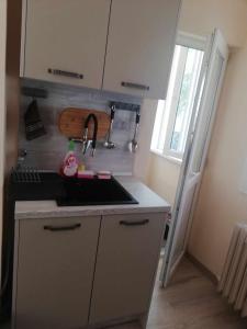 a small kitchen with a sink and a sink at Apartament Sofia in Sofia