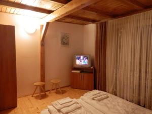 a bedroom with a bed and a television in it at Casa din Zori in Muntele Băişorii