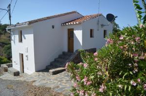 um pequeno edifício branco com uma porta e algumas flores em Casa do Pássaro em Galegos