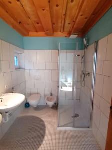 La salle de bains est pourvue d'une douche, d'un lavabo et de toilettes. dans l'établissement Martlerhof Urlaub auf dem Bauernhof, à Campo di Trens