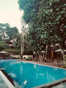 Piscina a De Foret o a prop