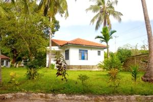Jardín al aire libre en Cycad Palm Diani