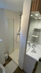 ein Bad mit einem Waschbecken, einer Dusche und einem Spiegel in der Unterkunft TERRASSES DE MALMEDY- CHALET 108 Le Chalet du Cerf & TRIPLEX 223 Le Refuge du Cerf in Malmedy