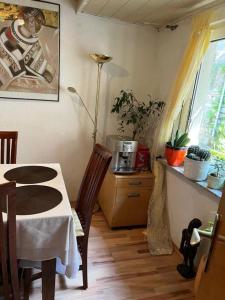 Kuchyň nebo kuchyňský kout v ubytování Gästehaus Linden