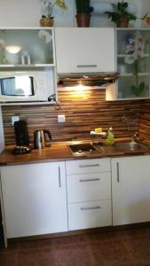 Kuchyň nebo kuchyňský kout v ubytování Apartman LEO Nr. 8 Lipno nad Vltavou