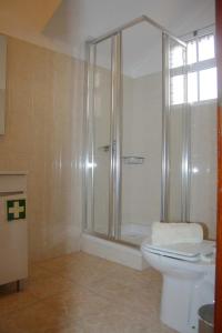 a bathroom with a shower and a toilet at Lugar dos Louros 1 in Estreito da Calheta