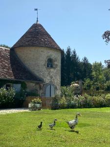 three ducks walking in the grass in front of a building at Le Colombier de Malpas in Quingey