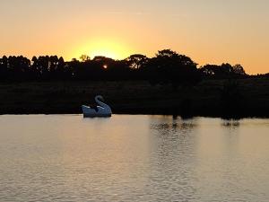 łabędzia łódź w wodzie o zachodzie słońca w obiekcie RECANTO DO SINALEIRO GRAMADO w mieście Gramado