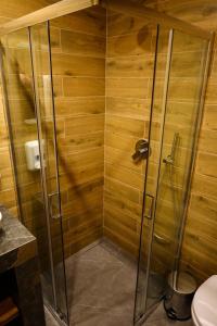 a shower with a glass door in a bathroom at Готель Карпатія in Mukacheve