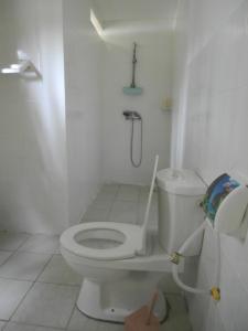 ein weißes Bad mit einem WC und einer Dusche in der Unterkunft Appartement d'une chambre a Grand Popo a 10 m de la plage avec piscine partagee jardin clos et wifi in Grand-Popo