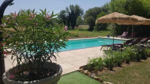 a swimming pool with a potted plant and an umbrella at Coquelicots Dordogne in Saint-Julien-de-Lampon
