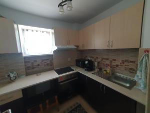 a small kitchen with a sink and a window at Apartament Centru Vatra in Vatra Dornei