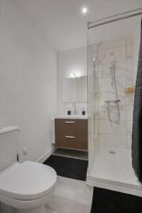 a bathroom with a toilet and a shower and a sink at Grande Rue * Place Stanislas in Nancy