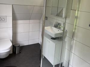 a small bathroom with a sink and a toilet at Twistesee Ferienhaus 42 in Bad Arolsen