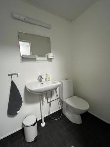 ein Badezimmer mit einem Waschbecken, einem WC und einem Spiegel in der Unterkunft Wanha Tulli in Karesuvanto